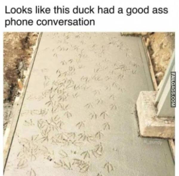 Random Funny Memes 0