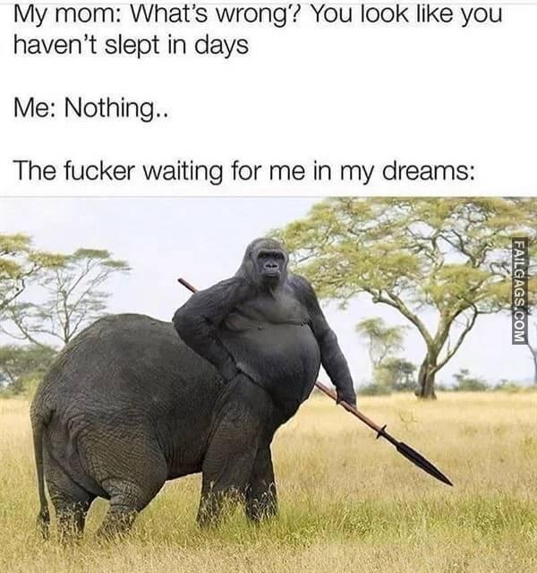 Random Funny Memes 1 2