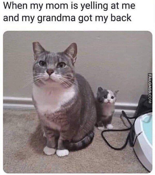 Random Funny Memes 10 3