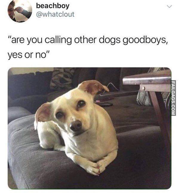 Random Funny Memes 12 3