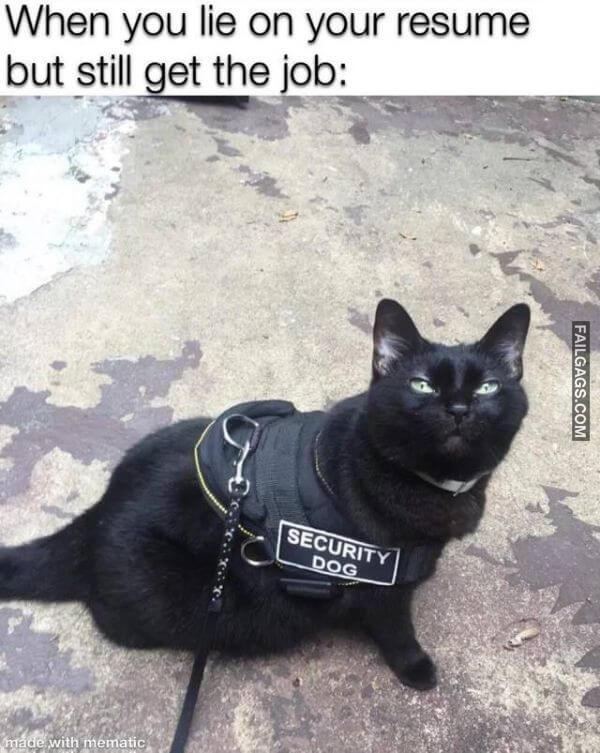 Random Funny Memes 12 8