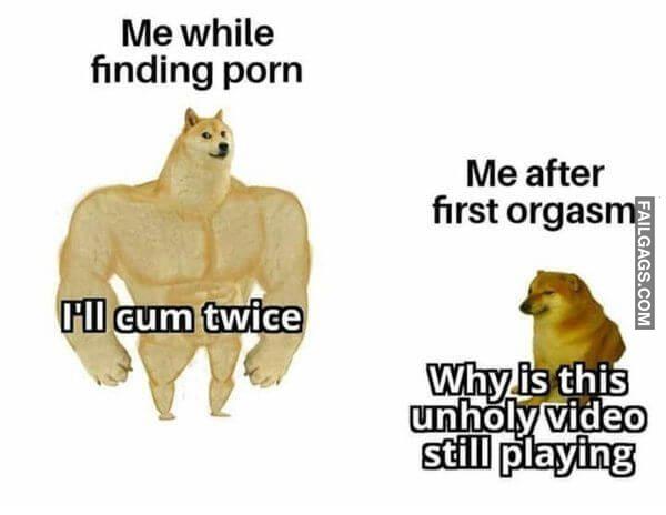 Random Funny Memes 13 1