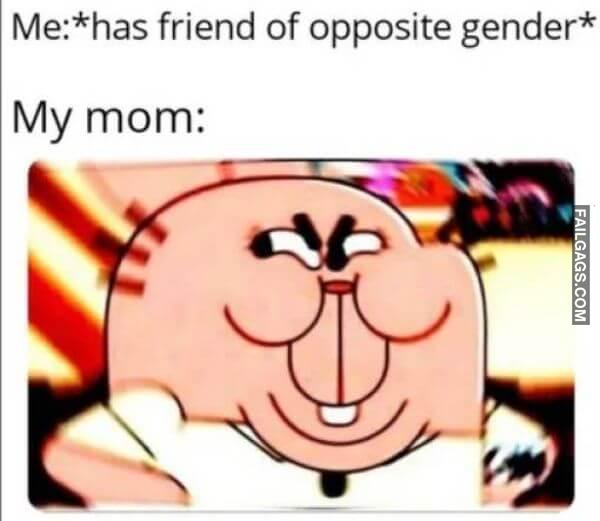 Random Funny Memes 15 2