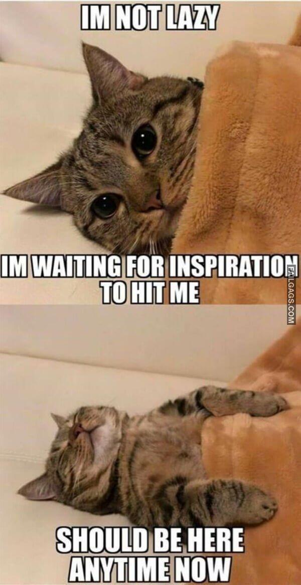 Random Funny Memes 15 4