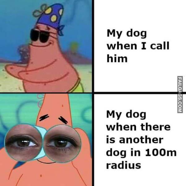 Random Funny Memes 17 6