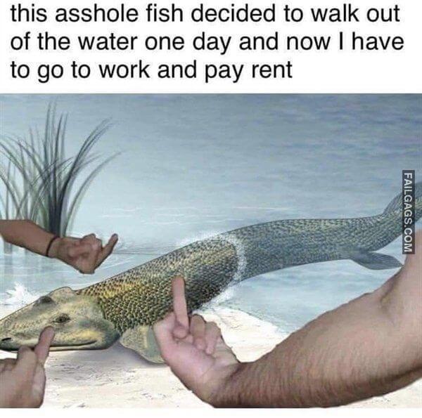 Random Funny Memes 19