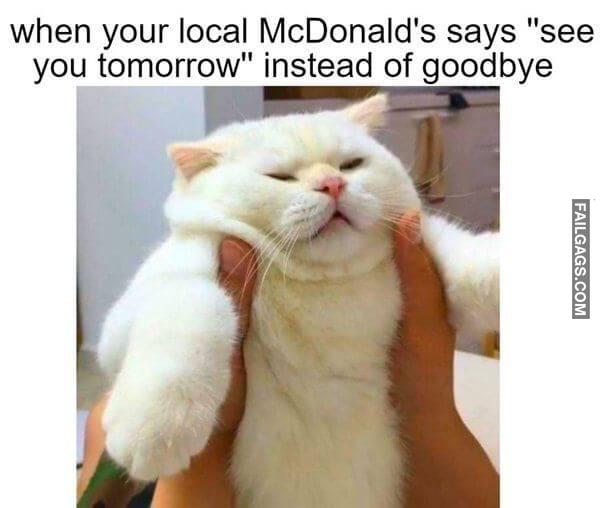 Random Funny Memes 4 6