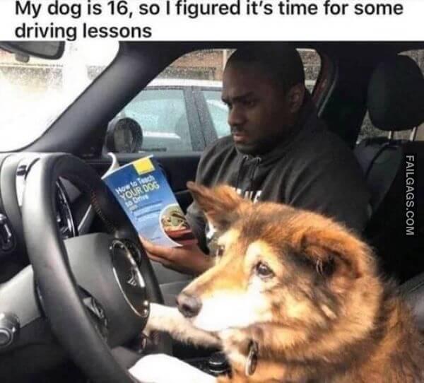 Random Funny Memes 5 5