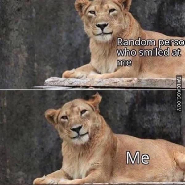 Random Funny Memes 6 5