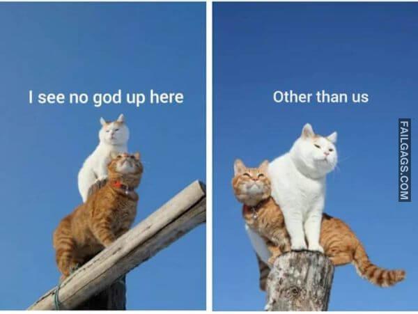 Random Funny Memes 6 8