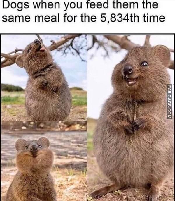 Random Funny Memes 9 2