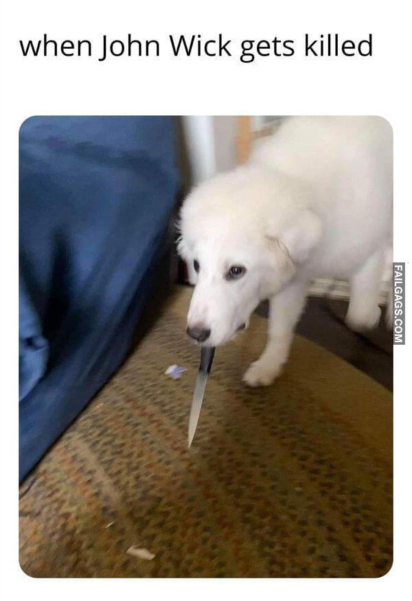 Random Funny Memes 9 5