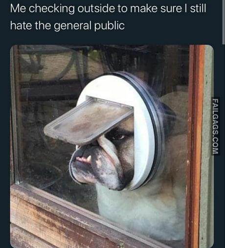 Me Checking Outside to Make Sure I Still Hate the General Public Meme