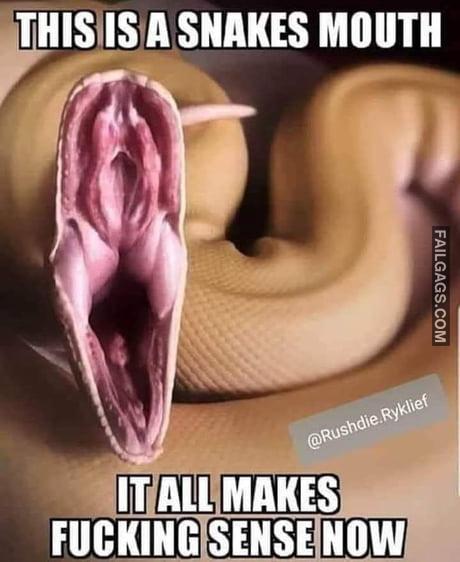 This is a Snake Mouth It All Makes Fucking Sense Now Meme