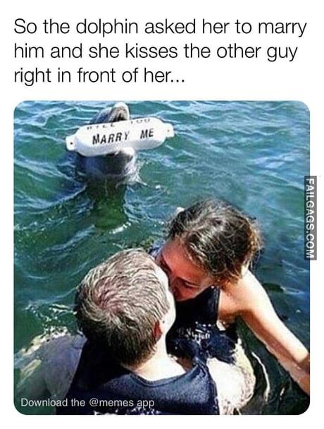 So the Dolphin Asked Her to Marry Him and She Kisses the Other Guy Right in Front of Her Meme