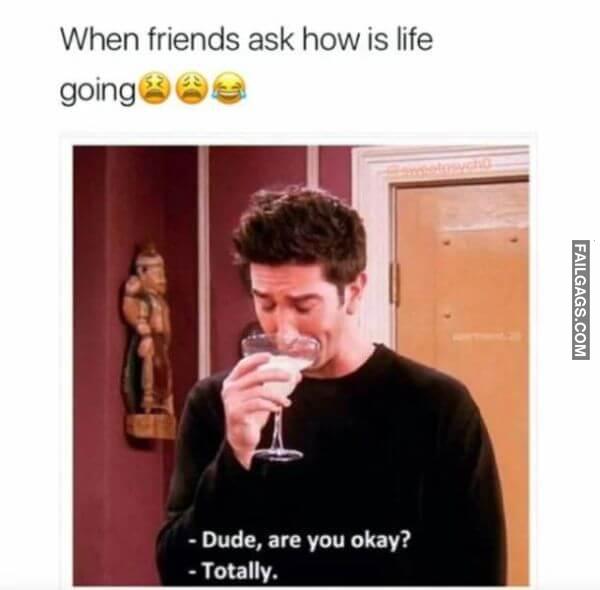 funny Friends memes 8