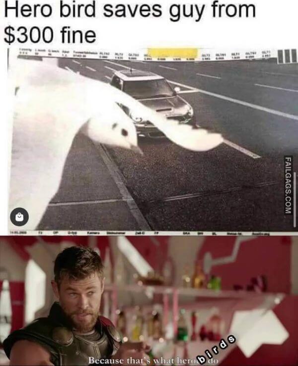 Random Funny Memes 11 4