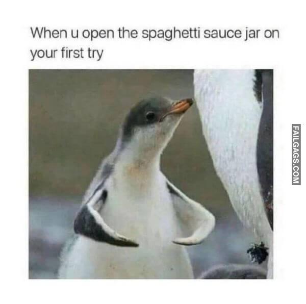 Random Funny Memes 11 8