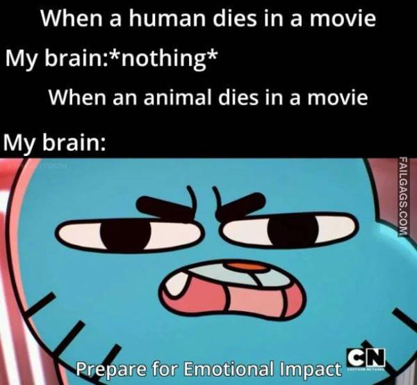 Random Funny Memes 12 1