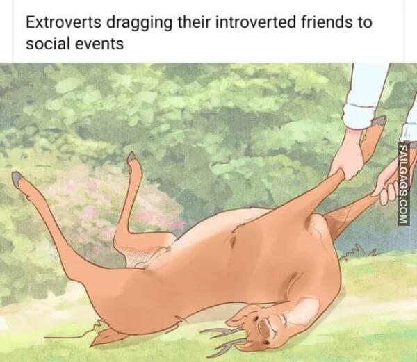 Random Funny Memes 12 2