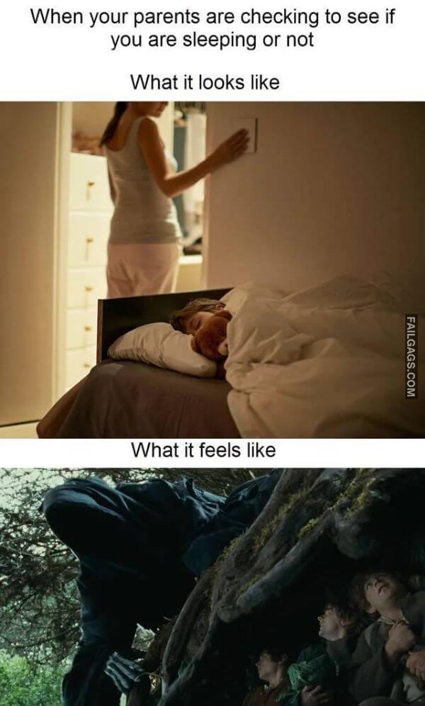 Random Funny Memes 13 3