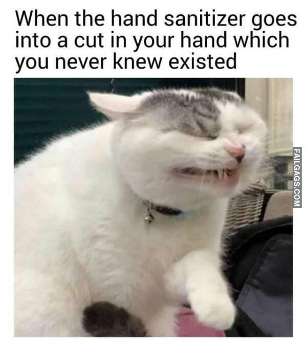 Random Funny Memes 15 3