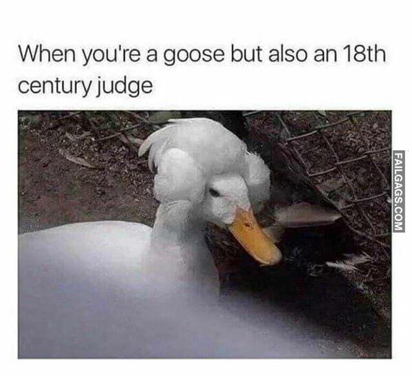 Random Funny Memes 16 2