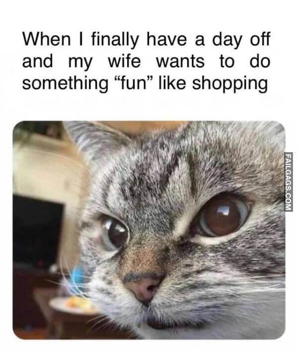 Random Funny Memes 16 6