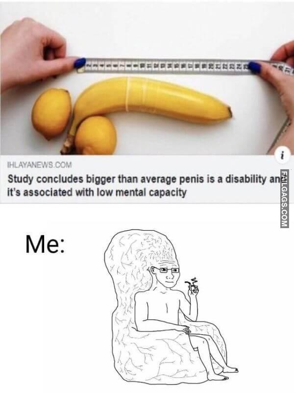 Random Funny Memes 17