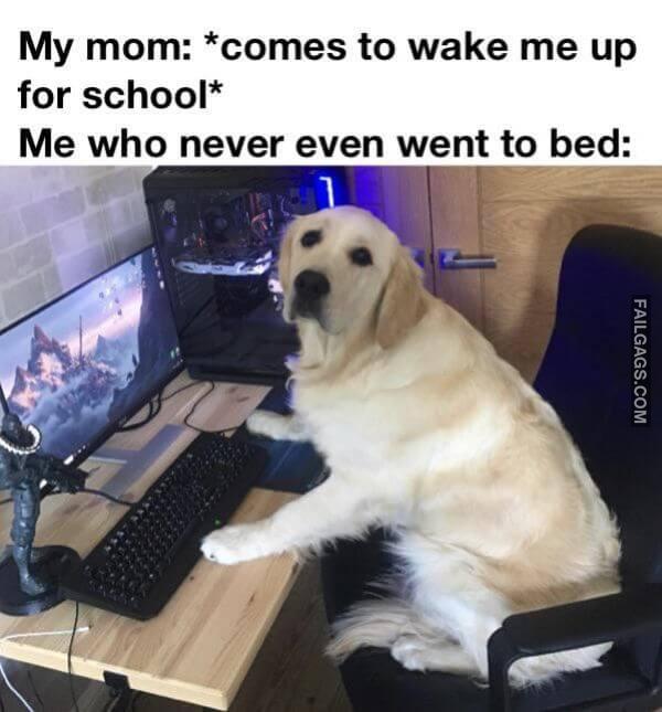 Random Funny Memes 21