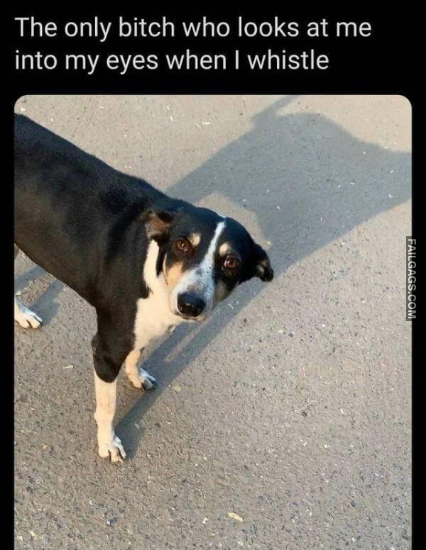 Random Funny Memes 5 8