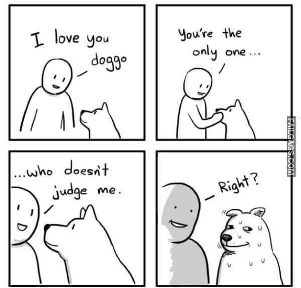 Random Funny Memes 7 1