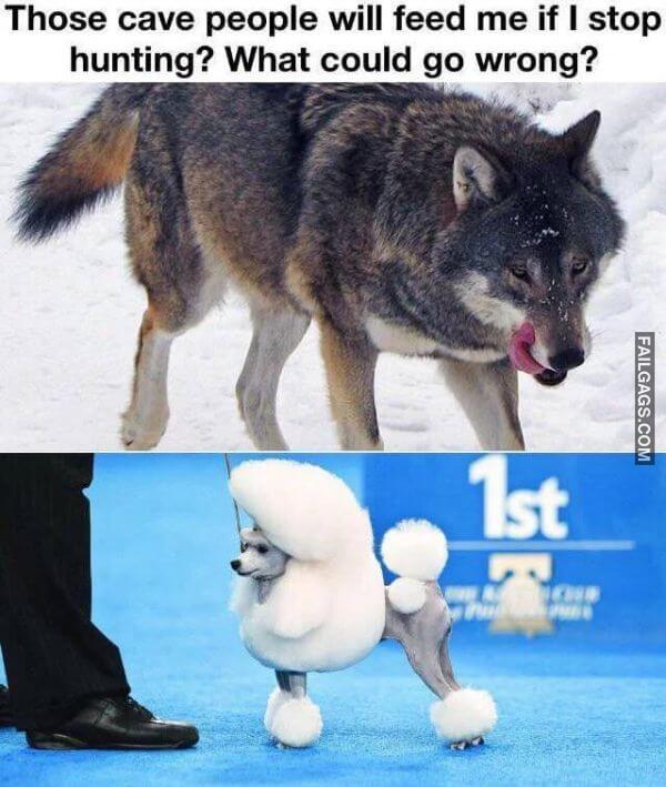 Random Funny Memes 7