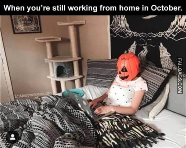 Random Funny Memes 8 4