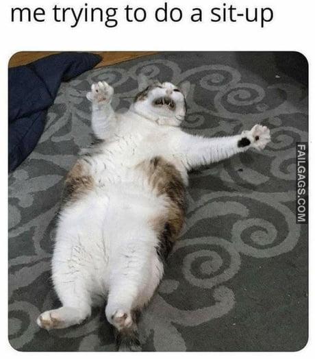 Me Trying to Do a Sit-up Meme