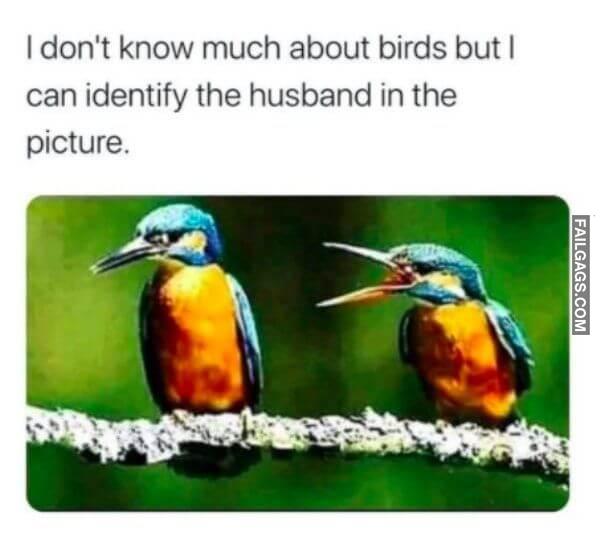 funny Marriage memes 1