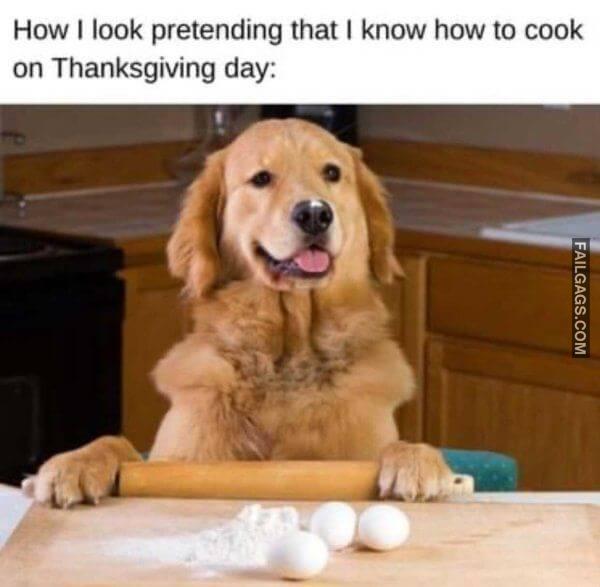 1606242247 ujnxd5myp2