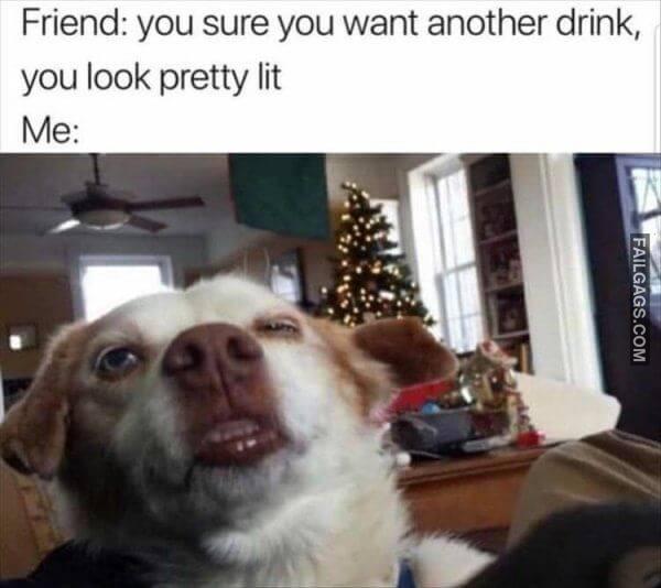 Funny Alcohol Memes 5