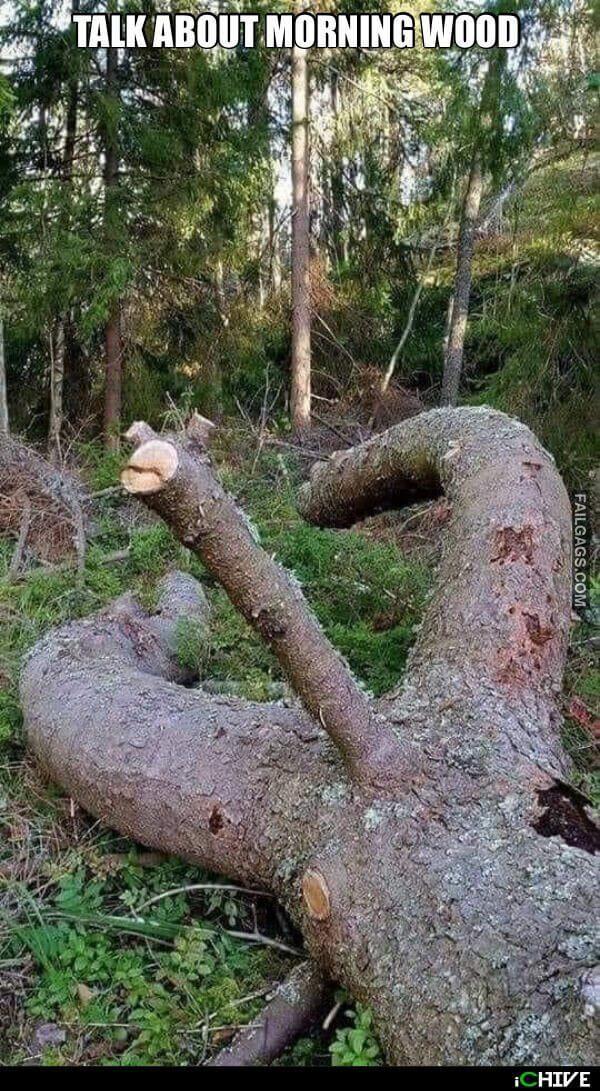 Funny Dirty Memes 7 1