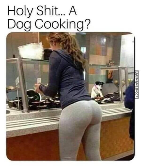 Holy Shit... A Dog Cooking Meme