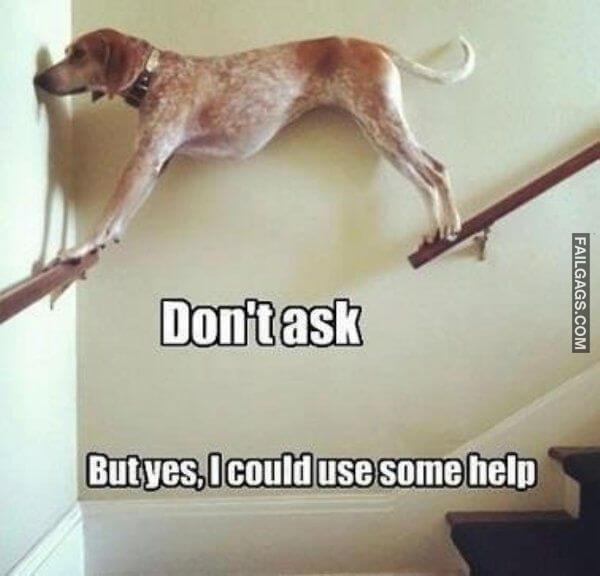 Random Funny Memes 1 8