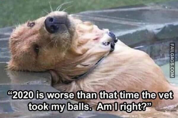 Random Funny Memes 1