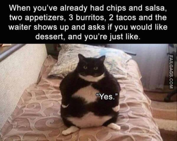 Random Funny Memes 10 4