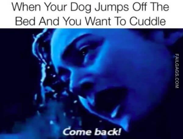 Random Funny Memes 11 2