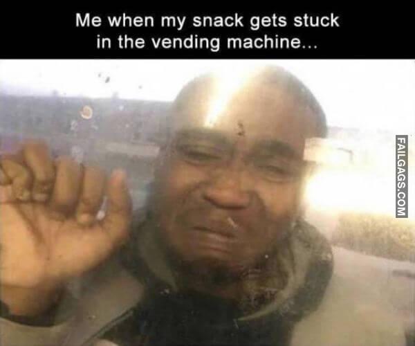 Random Funny Memes 11 5