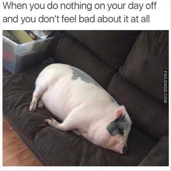 Random Funny Memes 11 9