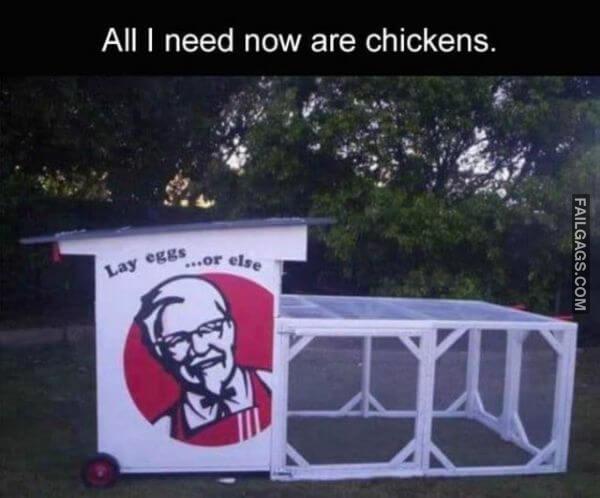 Random Funny Memes 12 4