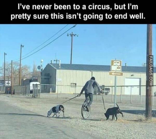 Random Funny Memes 14 7