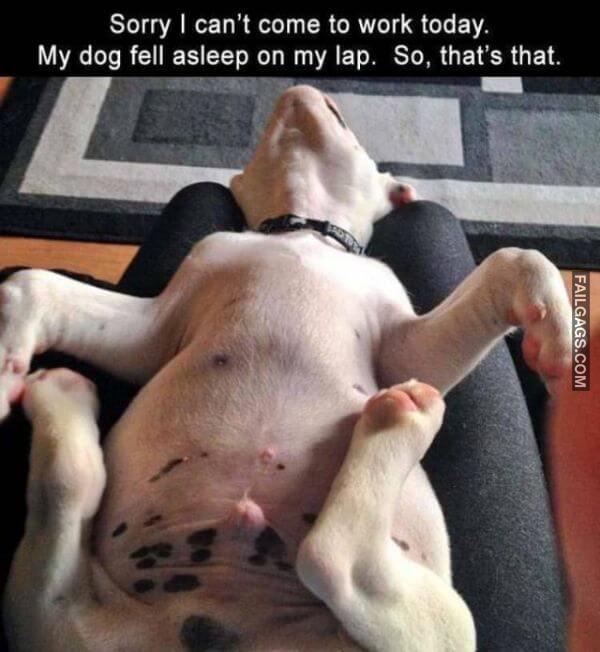 Random Funny Memes 15 1