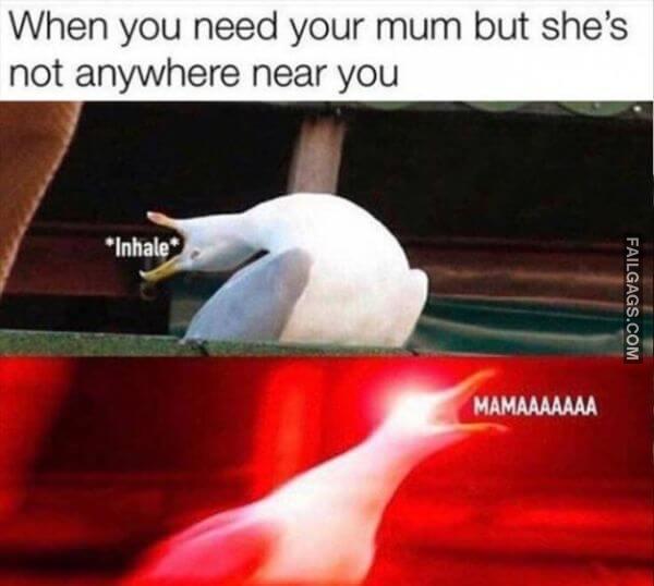 Random Funny Memes 19